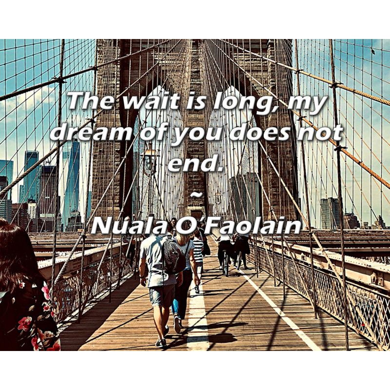 Astoria Grand Gallery Wrapped Canvas By Nuala O'Faolain: "The wait is long, my dream of you does not, H 13 po x l 18 po