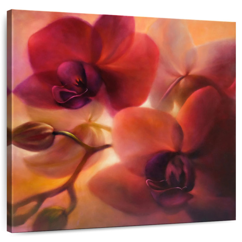 Harnek Orchids, 24" H x 24" W