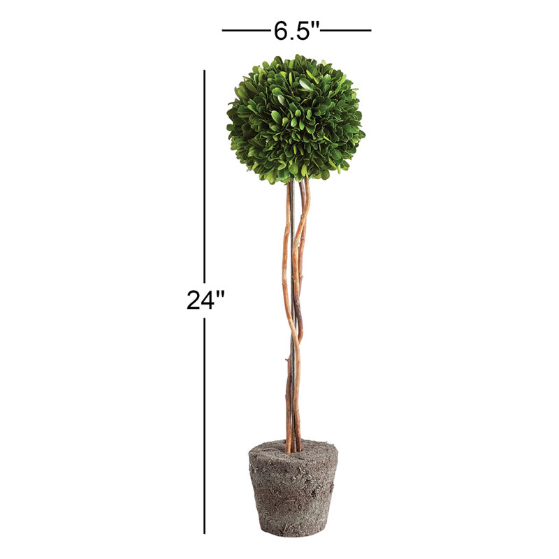 Thisbe Faux Boxwood Topiary in Planter, 24" H x 6.5" W x 6.5" D