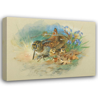 «Woodcock and Young» par Archibald Thorburn - Art mural sur toile tendue avec châssis