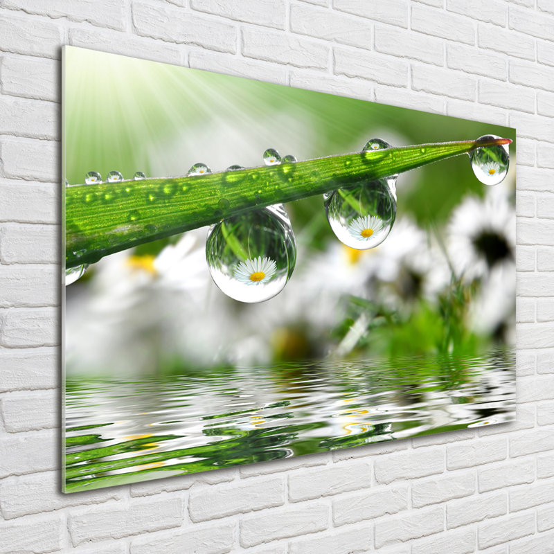 Drops on the grass 1 Piece Wall Art on Glass