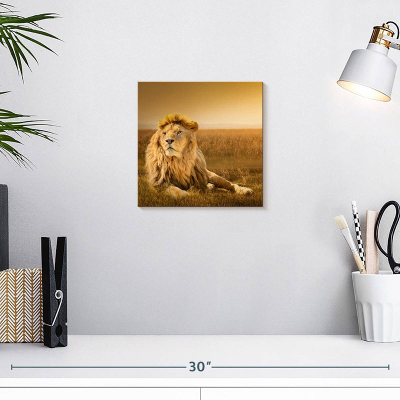 Crowle Glorious Lion In Safari, H 10 po x l 10 po
