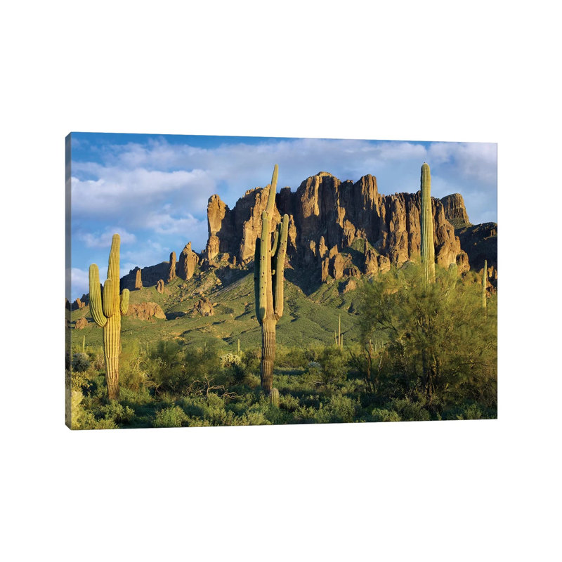 Saguaro Cacti and Superstition Mountains, Lost Dutchman State Park, Arizona I 1 Piece Wrapped Canvas Wall Art
