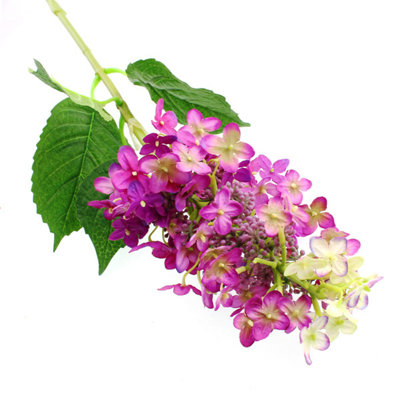 Hydrangea Arrangement