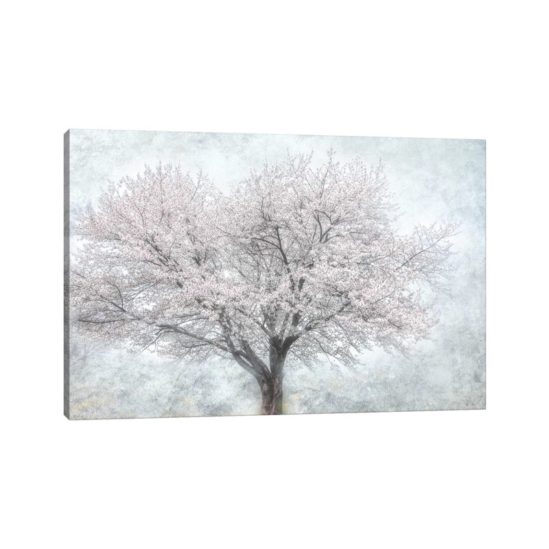 A Feel Of Spring II by Irene Weisz - Wrapped Canvas Painting, 20.32 cm H x 30.48 cm W