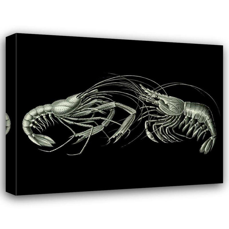 Art sur toile tendue «Red Barrel Studio® Fab Funky Gallery»: Crevettes sur fond noir 191097D, H 15 po x l 18 po