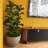 ECOBO Eco-Friendly Round Pot Planter, VicenzaIndoor/Outdoor use,Four Season Use-88977539-91298635