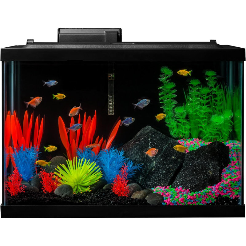Ensemble d'aquarium 20 gallons avec lumières DEL, chauffe-décor et filtre