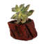 Pot à fleurs Kelch-881484382