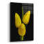Art mural en verre Epic Art «Yellow Tulip» par Dante Plata, 16 po x 24 po-1717154025
