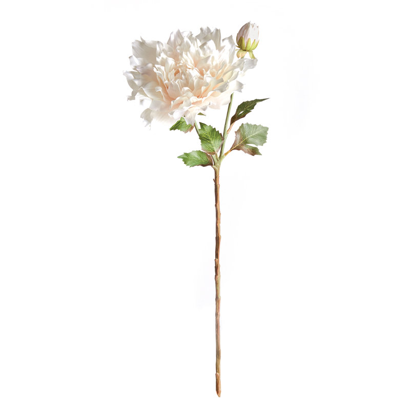 Tige de dahlia 21,5 po, Crème, crème