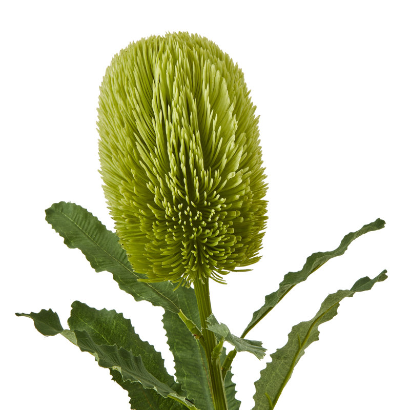 Arrangement, Green