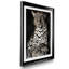 " African Leopard "-565968687-565968684