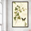 Ivies and Ferns IV Crop - peinture-1818472309-1818472313