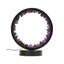 Cassietta Crystal Novelty Lamp-1363605970