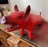 Roasted Pig Statue