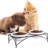 Ceramic Raised Elevate Feeder-50626478