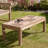 Xantippe Teak Coffee Table