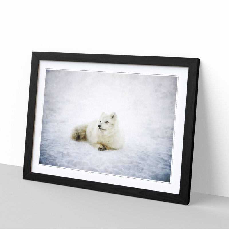 Resting Arctic Fox - Framed Print, 33cm H x 45cm W x 2cm D, Black Framed