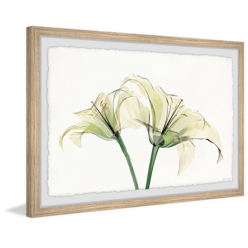 Never Grow Old by Marmont Hill - Single Picture Frame Painting, 38cm H x 45cm W