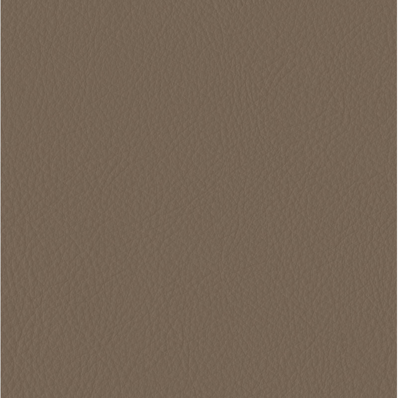 Elan Khaki Sample