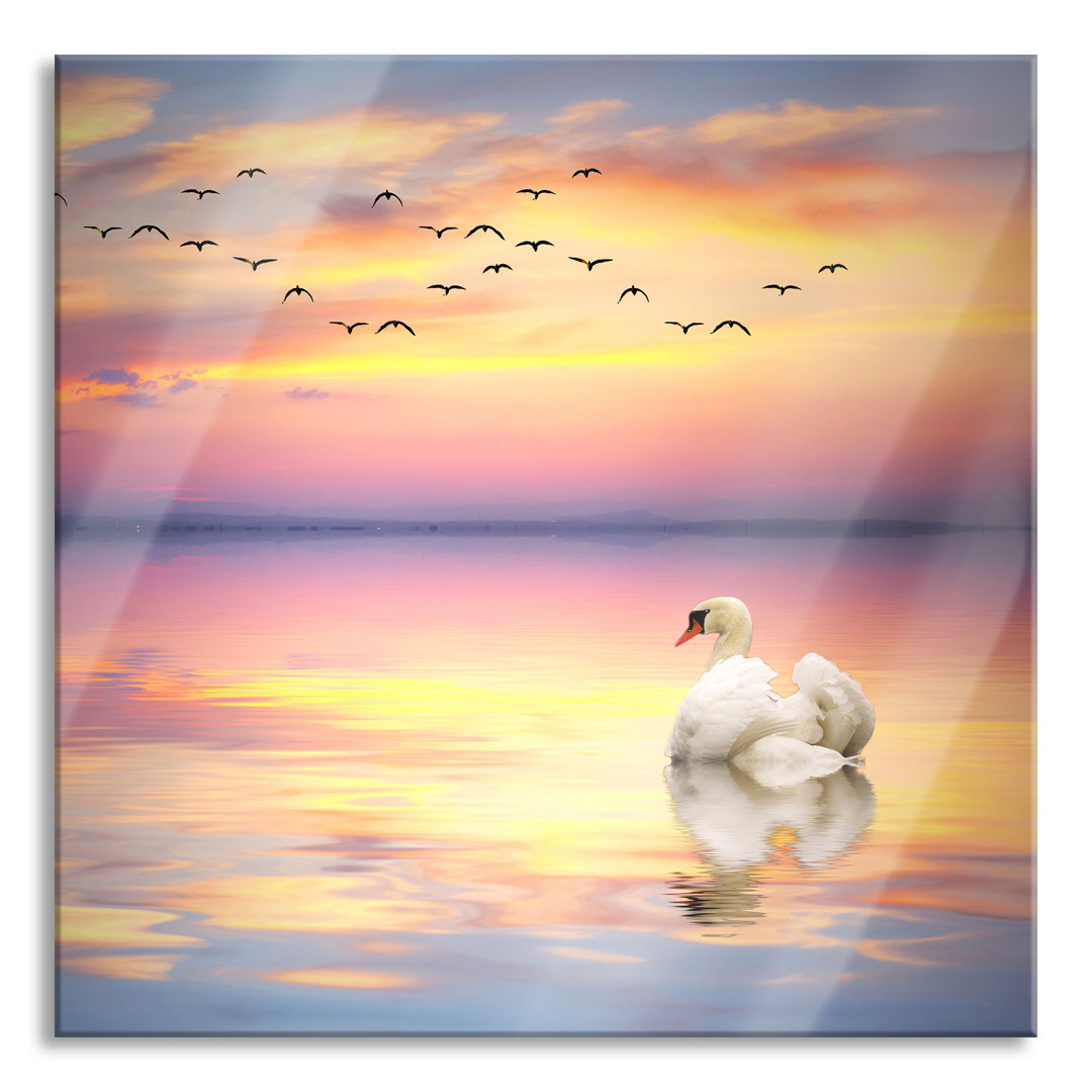 Glasbild Quadratisch | Wandbild Auf Echtglas | Schwan Bei Sonnenuntergang |  Inkl. Aufhängung Und Abstandshalter