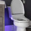 Siège de toilette Bio Bidet, chauffé, séchoir à air chaud et contrôle de la température, comprend 2 serviettes, BB2000-112897663