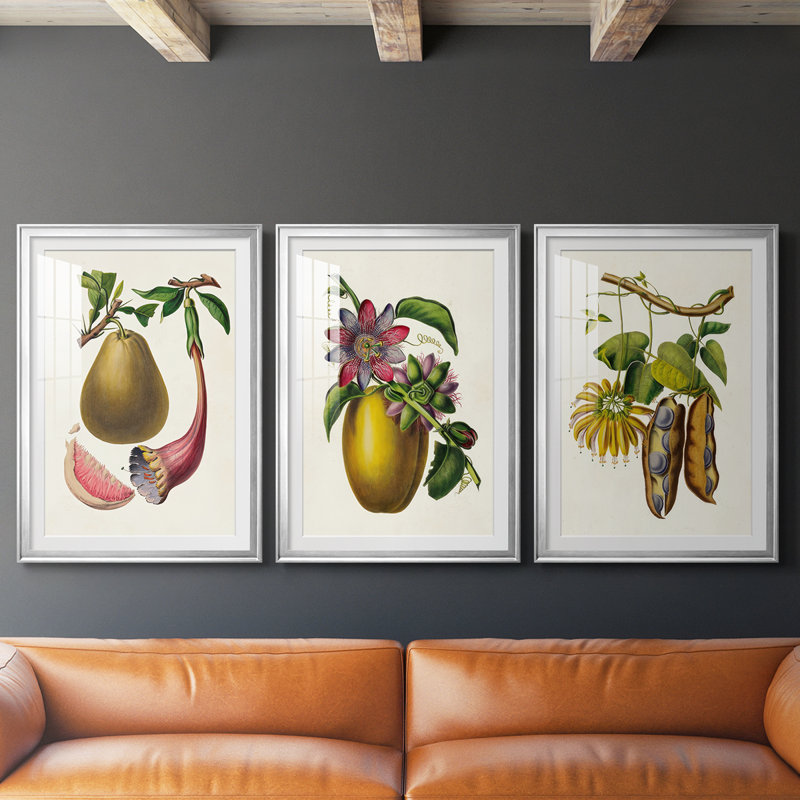 Fruit of the Tropics I - reproduction sur mesure encadrée de qualité supérieure - 3 pièces, H 27 po x l 39 po, Argent argent