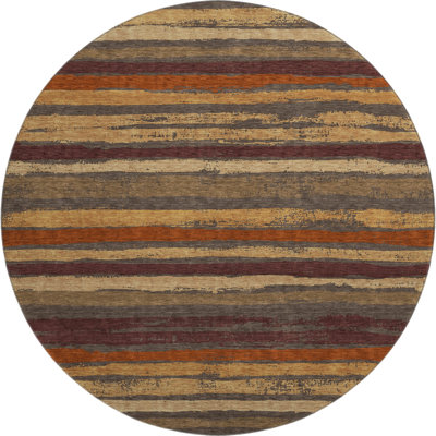 Premium Machine Washable Colmenero AMF1019 Stripes Rug