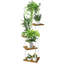 Abiola Plant Stand-1451248412