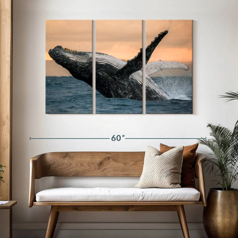 Brampt Humpback Whale Toss, 32" H x 50" W