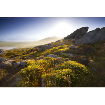 Irish Morning - photographie sur toile tendue