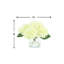 Hydrangea Arranged In A Clear Glass Vase