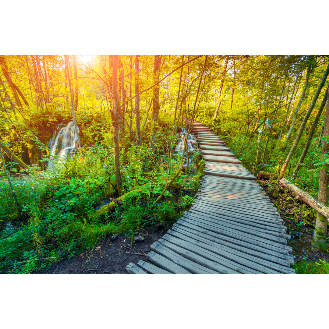 Leinwandbild Wooden Tourist Path In Plitvice Lakes National Park Lynse