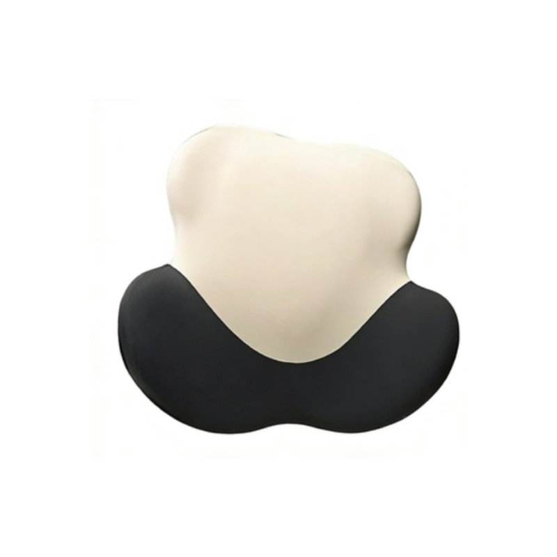 ARLINENS Back Support