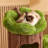 3 Tiers Cat Tree with Condons,Perch,Scratching Posts