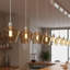17.5 cm H Novelty Glass Lamp Shade
