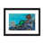 Black Framed Paper is unavailable