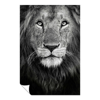 Lion King Face Portrait - No Frame Print