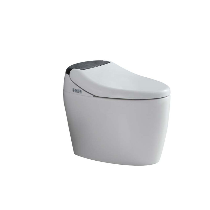 Toilette allongée pour bidet Tusuton 1,28 GPF (siège inclus)