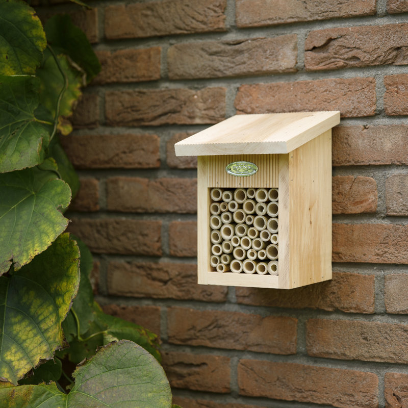 Bee House in Giftbox Fsc 100%