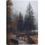 Automne Automne «Autumn Dramatic Forest Landscape» sur-99142142-99142138