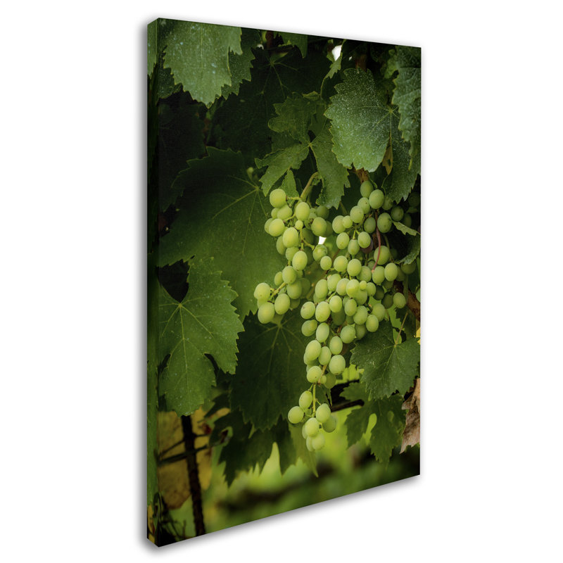 Leeth 'Grapes' Photographic Print on Wrapped Canvas, 47" H x 30" W x 2" D