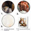 Cozy Teddy Bear chocolat en hiver I - art mural de l'ours en peluche-1896887586-1896887589