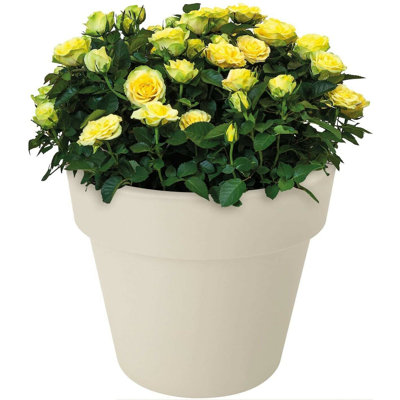 Pot Planter