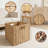 LOHASTOUR 2-Pack Foldable Storage Baskets With Handles, 11 Inch Woven Cube Organizer Bins For Shelves, Closet, Living Room, And Bedroom Organization