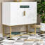 Steel Freestanding Under Sink Cabinet