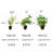 Mini Faux Potted Green Plant