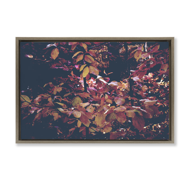 Cadre flottant Dusky Forest Leaves, design par Gemma Bardot, H 21 po x l 31 po, Cadre flottant orme Montalcino
