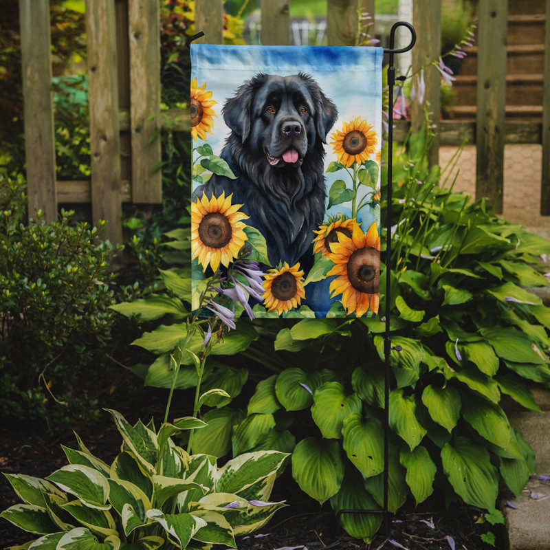 Lévrier irlandais dans le drapeau du jardin de tournesols, Noir Terre-Terre